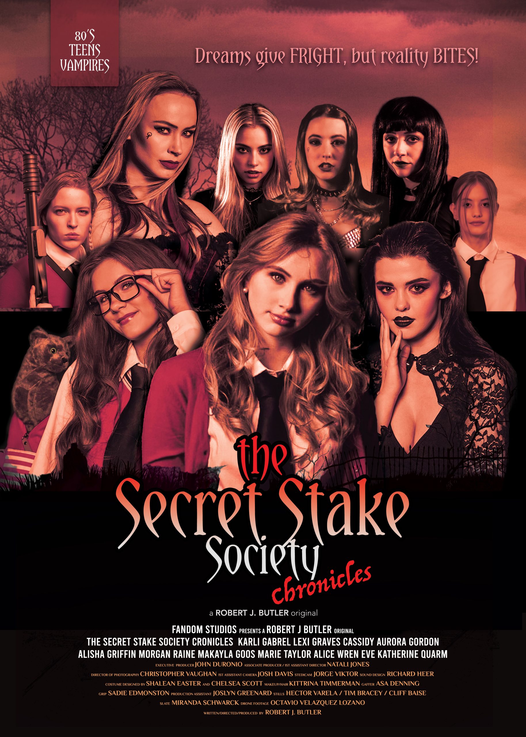The Secret Stake Society Chronicles Poster